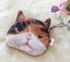Cat pen bag, anime around, stationery bag, pencil case