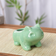 Miao frog seed fleshy ceramic small flower pot