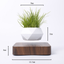 Magnetic Suspension Polygon Flower Pot Suspended Wood Grain Potted Plant Bonsai