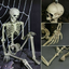 Halloween Scary Artificial Skeleton