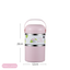 Stainless steel insulated lunch box