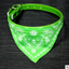 Pet Bandana