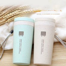 Wheat straw double-layer mug