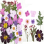 Dry flower embossing material package