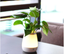 Vase dormitory night light Creative fun bedroom bedside lamp charging feeding lamp Home decoration lamp atmosphere lamp