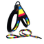 Colorful Adjustable Dog Leash