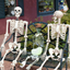 Halloween Scary Artificial Skeleton