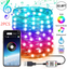 Christmas Tree Decoration Lights Custom LED String Lights App Remote Control