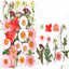 Dry flower embossing material package