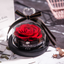 Dried Flowers The Beauty And Beast Eternal Real Rose Home Decor With LED in Glass