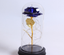 Enchanting Rose with Glass Case