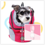 Outdoor Pet Dog Carrier Bag Pet Dog Front Bag
