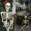 Halloween Scary Artificial Skeleton