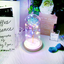Enchanted Forever Rose Flower in Glass LED Light Christmas Decoration