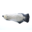 Simulation Electric Fish Funny Cat Simulation Fish