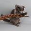 Rabbit hair funny cat stick