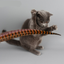 Rabbit hair funny cat stick