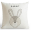 Home cartoon cute pillow