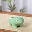 Miao frog seed fleshy ceramic small flower pot