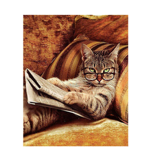 Painting by numbers - newspaper reading cat