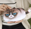 Cat pen bag, anime around, stationery bag, pencil case