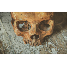 Skull Decorative 30 20