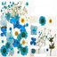 Dry flower embossing material package