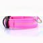 LED Flash Pet Safety Collar