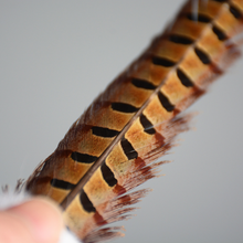 Rabbit hair funny cat stick