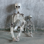 Halloween Scary Artificial Skeleton