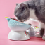 Cat bowl ceramic protects cervical spine high feet