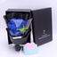 Creative gift 9 soap bouquet gift box