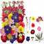 Dry flower embossing material package
