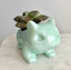 Miao frog seed fleshy ceramic small flower pot