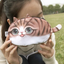 Cat pen bag, anime around, stationery bag, pencil case