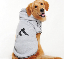 Pet clothing
