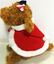 2021 Christmas clothes new puppy cloak pet clothes pet Christmas clothes foreign trade factory explosion