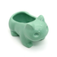 Miao frog seed fleshy ceramic small flower pot