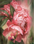 Butterfly Peony Diamond Embroidery Painting Rhinestones Diamond Mosaic 3D Cross Stitch Pattern Pattern Decoration Home Painting