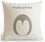 Home cartoon cute pillow