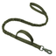 Training dog leash