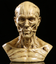 Resin model resin crafts