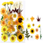 Dry flower embossing material package