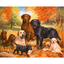Painting by Numbers - The Dog Family