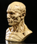 Resin model resin crafts