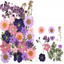 Dry flower embossing material package
