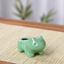 Miao frog seed fleshy ceramic small flower pot