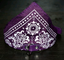 Pet Bandana