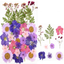 Dry flower embossing material package