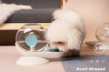 Cat drinking fountain filtering automatic drinking fountain